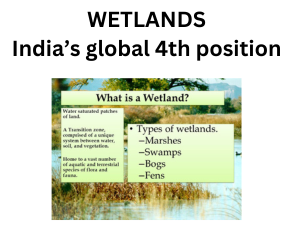 wetland