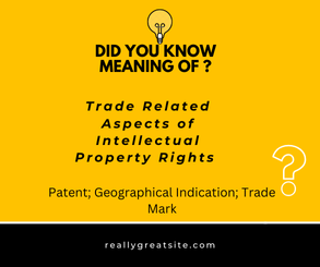 intellectual property rights