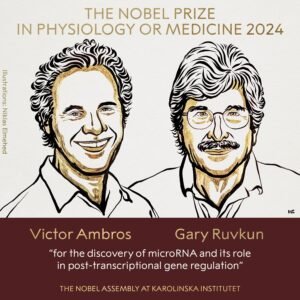 The 2024 Nobel Prize in Physiology or Medicine: