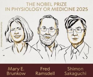 The 2025 Nobel Prize in Physiology or Medicine
