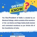 vice president