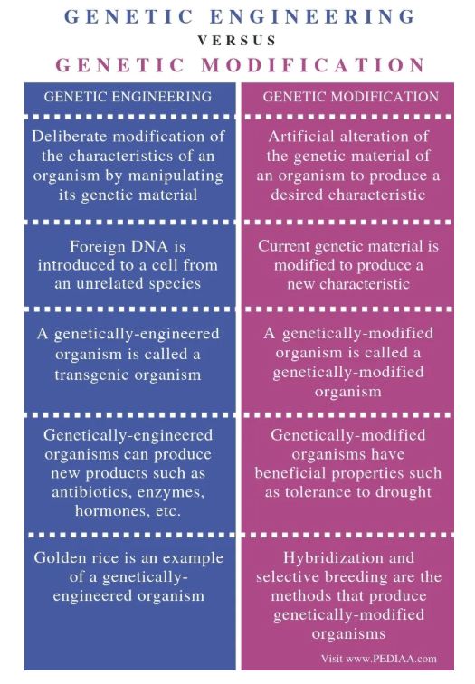genome-edited