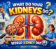 kidney